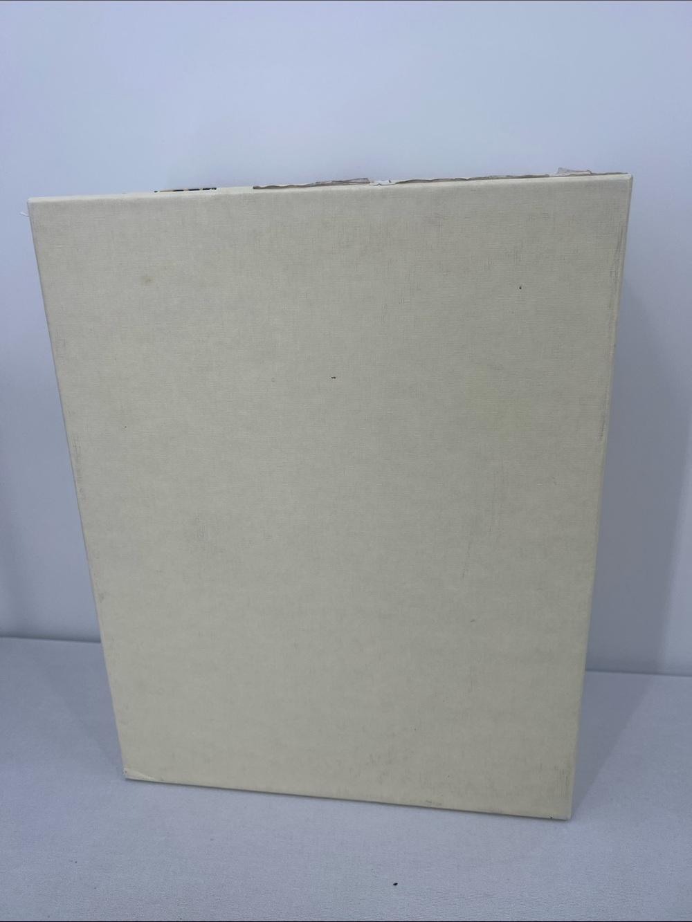 Charlotte Olympia EMPTY Shoe Box and Dust bags - Picture 9 of 9
